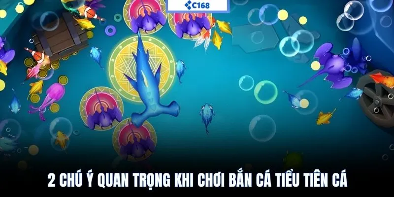 2 chú ý quan trọng khi chơi bắn cá Tiểu Tiên Cá