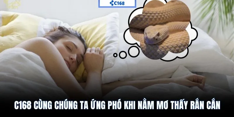 C168 cùng chúng ta ứng phó khi nằm mơ thấy rắn cắn