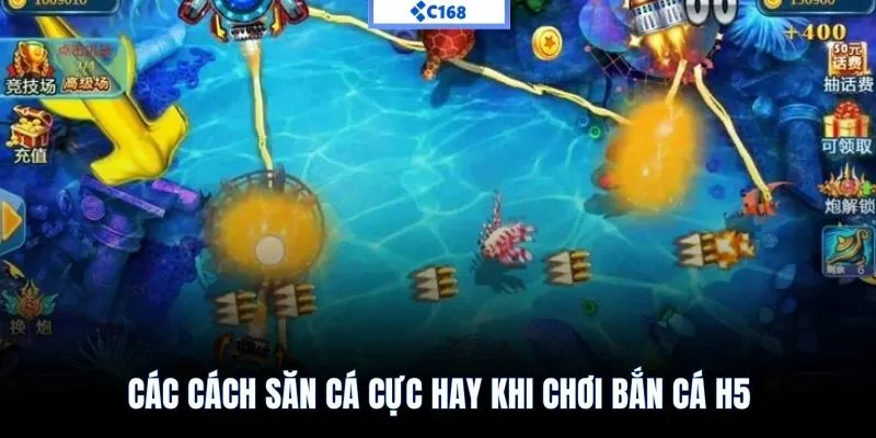 Phối hợp đa dạng vũ khí để đa dạng tầm bắn