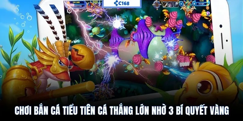 Chơi bắn cá Tiểu Tiên Cá thắng lớn nhờ 3 bí quyết vàng
