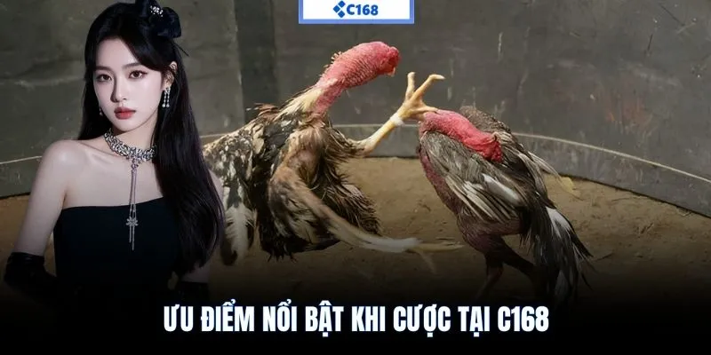 Ưu điểm nổi bật khi cược tại C168